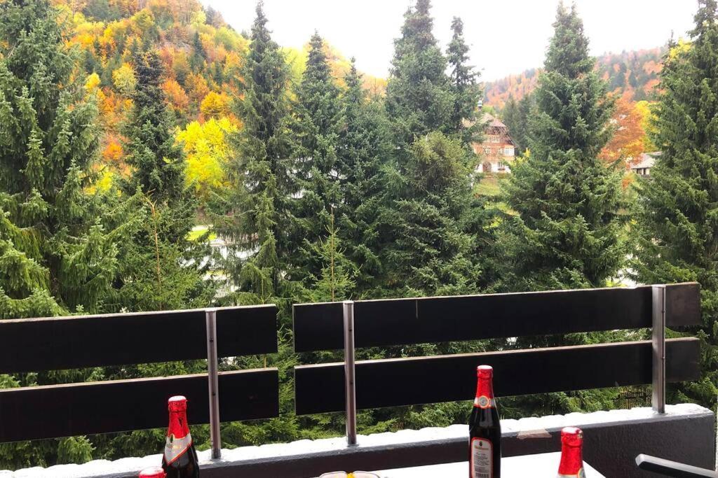 Ferienwohnung Schwarzwald טודמוס מראה חיצוני תמונה