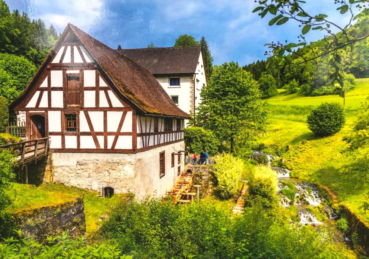 Ferienwohnung Schwarzwald טודמוס מראה חיצוני תמונה