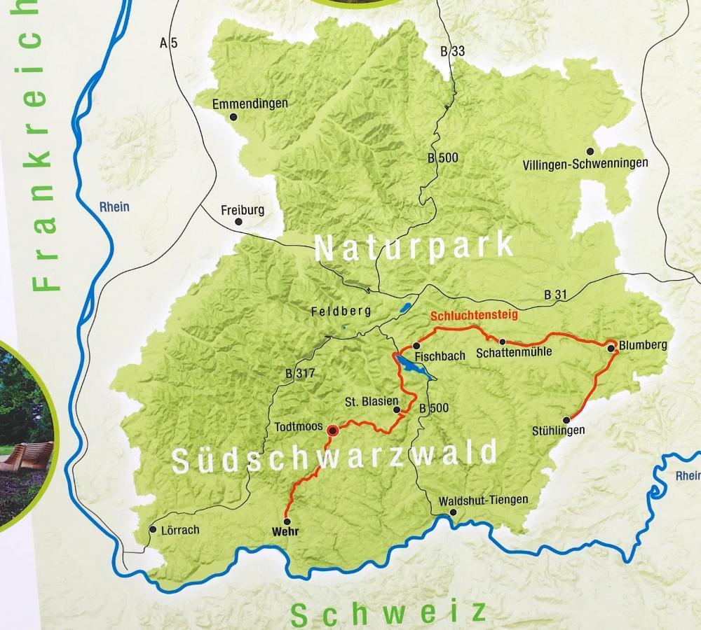 Ferienwohnung Schwarzwald טודמוס מראה חיצוני תמונה